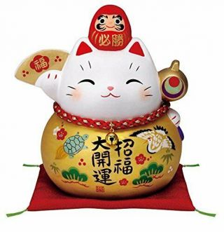Yakushigama Maneki - Neko Lucky Cat 7689 Victory Daruma From Japan 1a0551
