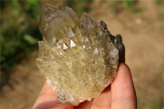140.  8g Natural Tibetan Skeletal Smoky Quartz Crystal Point Cluster Specimen