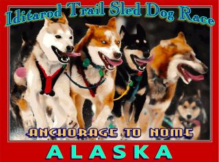 Iditarod Trail Dog Sled Race Alaska United States Travel Advertisement Poster