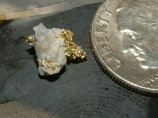 California Gold Quartz Specimen Natural Gold Nugget.  23 Gram Gold In Quartz