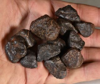 Set Of Complete Chondrite Meteorites Nwaxxx,  115 G