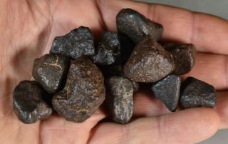 Set of Complete Chondrite Meteorites NWAxxx,  115 g 2