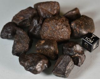 Set of Complete Chondrite Meteorites NWAxxx,  115 g 3