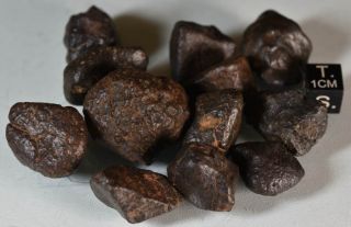 Set of Complete Chondrite Meteorites NWAxxx,  115 g 4