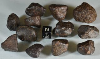 Set of Complete Chondrite Meteorites NWAxxx,  115 g 5