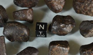 Set of Complete Chondrite Meteorites NWAxxx,  115 g 6