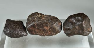 Set of Complete Chondrite Meteorites NWAxxx,  115 g 7
