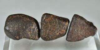 Set of Complete Chondrite Meteorites NWAxxx,  115 g 8