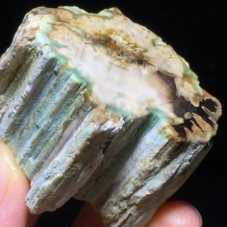 76g Rare Natural Petrified Wood Fossil Crystal Polished Slice Madagascar A6892