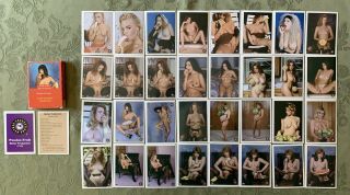 Full Set Of 32 Mothers Productions Passionate Fruit Cards Sharp