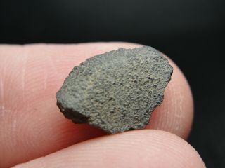 Jbilet Winselwan - Cm2 Carbonaceous Chondrite - Jil - 0093 - 0.  52g W/coa - Crusted