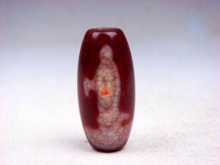 Old Tibetan Agate Cinnabar Kwan - Yin Buddha Dzi Bead Dragon Veins 03131903