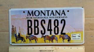 License Plate,  Montana,  Bob Marshall Wilderness,  5 Horses,  Bbs 482