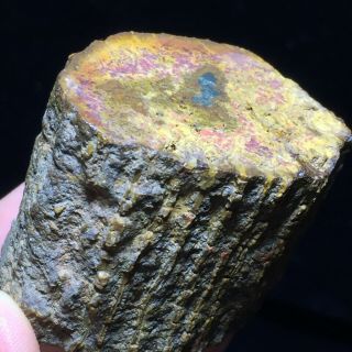 87g Rare Natural Petrified Wood Fossil Crystal Polished Slice Madagascar A6891