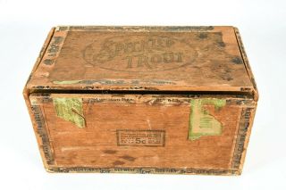 Vintage Early Very Cool Speckled Trout Wooden Cigar Box 5 Cents Je20