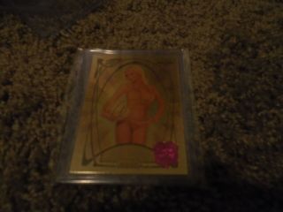 Holly Madison 2007 Bench Warmer Gold Edition 2/5