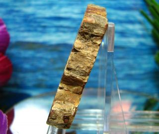 Petrified Wood COMPLETE ROUND Slab w/Bark FANTASTIC PURPLE PINK OLIVE - GREEN 5