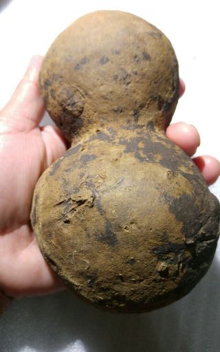 Rare Doll Stone/chert/flint Nodule From Native American Campsite