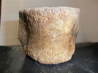 Prehistoric - Fossilized - Whale Vertebrae - A Bunch Of Years Ago.