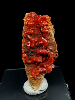 35g Natural Red Vanadinite On Barite Crystal Rare Mineral Specimens Morocco