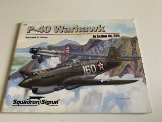 Squadron Signal P - 40 205 Warhawk In Action Richard Dann