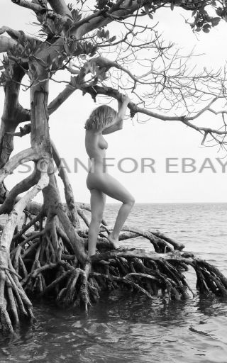 Nude 35mm Negative Busty Female Model Vintage Fine Art Beach Pinup H22.  15