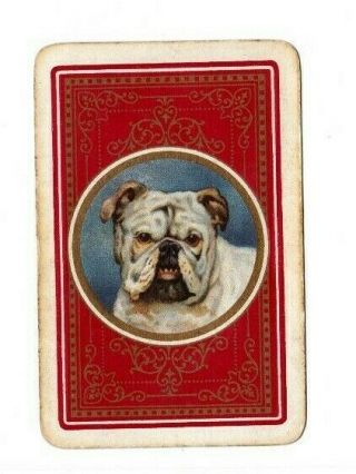 1 Rare Playing Swap Card Vintage Dog - British Bull Dog