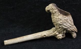 Antique Vintage Tobacco White Clay Pipe " Bird On A Tree Limb " Pre Owned