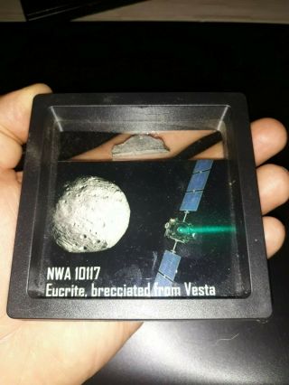 Meteorite From Vesta Tkw 141 Gr