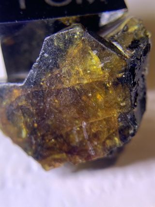 Meteorite Esquel,  Pallasite Pmg 0.  92 Grams Rare