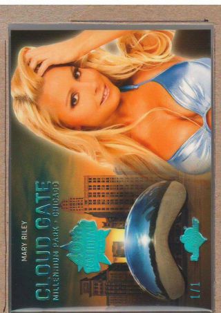 Mary Riley 2019 Bench Warmer 40th National Cloud Gate The Bean Ice Blue 1/1