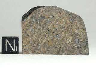Meteorite Nwa 12577 - L4 Chondrule Party Large Thin Slice 9.  5g