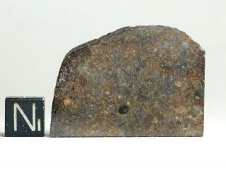 Meteorite NWA 12577 - L4 CHONDRULE PARTY large thin slice 9.  5g 2