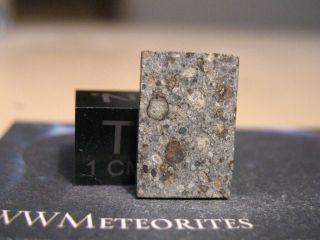 Meteorite Nwa 12655 - Ll3 With Embedded Up To 7 Mm Sized Ll6 Clasts (ll3 - 6)