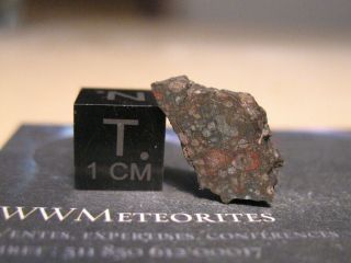 Meteorite Nwa 12553 - Carbonaceous Chondrite : Type Cv3