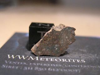 Meteorite NWA 12553 - Carbonaceous Chondrite : Type CV3 2