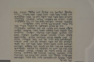 Mezuzah Scroll 10 Cm Kosher Parchment Torah Klaf 4 " Hebrew Judaica Jewish Israel
