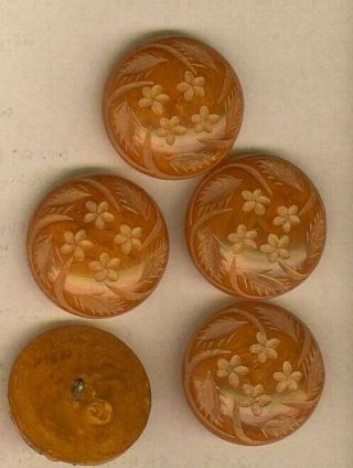 Set Of 5 Pretty Carved Butterscotch Bakelite Flower Coat Buttons