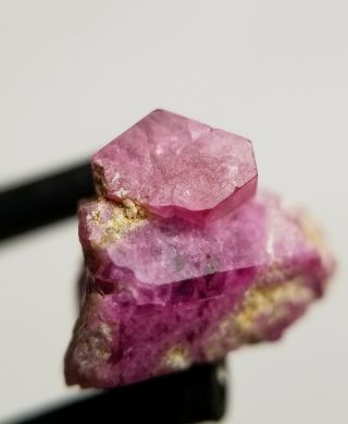 Rare: Red Beryl (bixbite) Double Crystal