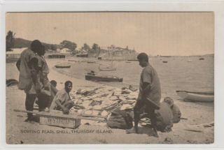 Vintage Postcard Sorting Pearl Shell On Thursday Island 1900s
