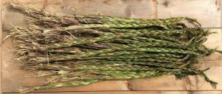 Sweetgrass Braid 14 ",  Hierochloe Odorata Smudge (5 Pack)