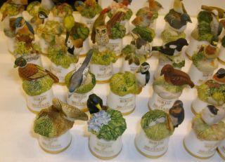 THE FULL SET OF BIRDS OF BRITAIN COLLECTORS THIMBLES COMPLETE WITH DISPLAY DOME 7