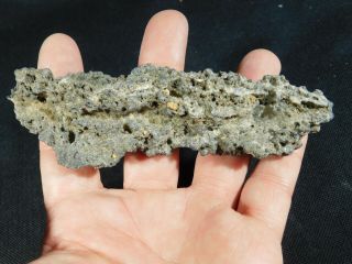 A Huge 100 Natural Fulgurite Or Petrified Lightning Found In Algeria 37.  6gr E