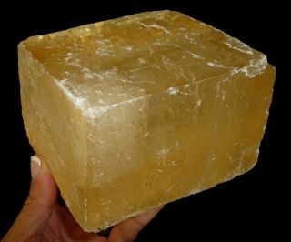 Dino: Xl Citrine Optical Calcite Crystal,  Mexico - 3 Lbs.  4.  4oz.
