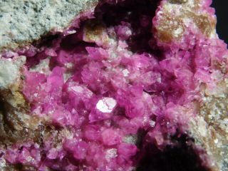 Bright Colors A 100 Natural Cobalto Calcite Crystal Cluster The Congo 171gr E