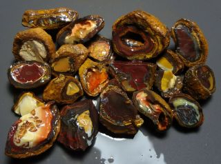 Lapidary: 1320 Carat Parcel Of Natural Yowah Nuts.  Boulder Opal Rough Specimens