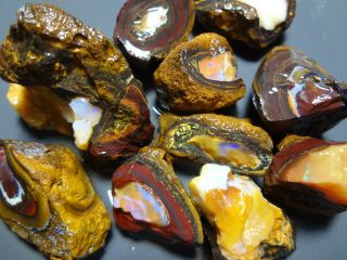 Lapidary: 545 Carat Parcel Of Natural Yowah Nuts.  Boulder Opal Rough Specimens