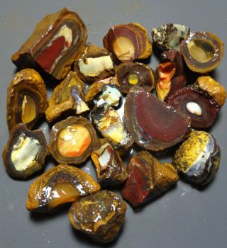 Lapidary: 875 Carat Parcel Of Natural Yowah Nuts.  Boulder Opal Rough Specimens
