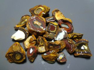 Lapidary: 1150 Carat Parcel Of Natural Yowah Nuts.  Boulder Opal Rough Specimens