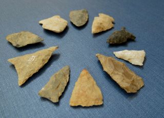 GROUP of 10 INDIAN BIRD POINT ARROWHEADS - Lancaster Co.  PA 2